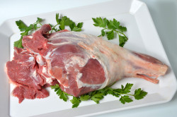 Viande d'agneau halal de qualité   